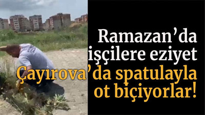 Ramazan’da işçilere eziyet Çayırova’da spatulayla ot biçiyorlar!